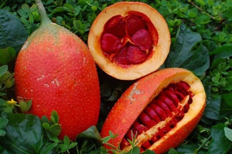 Вьетнамский гак – фрукт из рая - ảnh 1